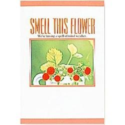 ナカバヤシ DPポケットアルバム スメルディスフラワー　ア-PA-42-40