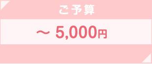 ご予算 〜5,000円