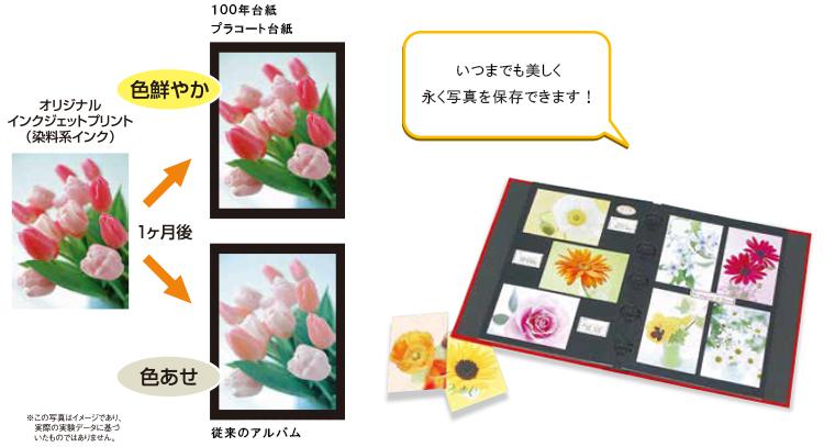 色あせを防止し、永く美しく保存