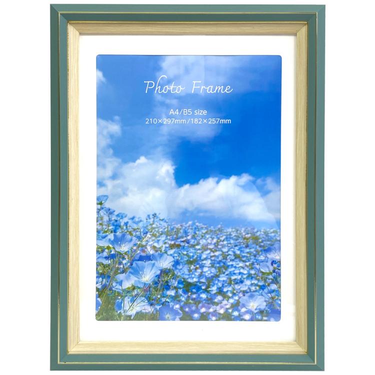 【WEB限定】 ナカバヤシ 樹脂製フォトフレーム01 A4判/B5判 グリーン 写真立て IT-FL-PS01-A4-G